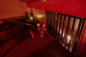 heavenhell_voegelnest_karlsruhe_bordell_143