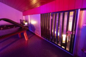 heavenhell_voegelnest_karlsruhe_bordell_178