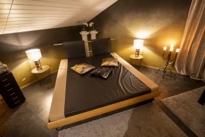 heavenhell_voegelnest_karlsruhe_bordell_187